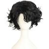 HUNIGIR Black Wig for Men Short Fluffy Curly Black Wig Male Heat Resistant Synthetic Hair view 1