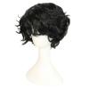 HUNIGIR Black Wig for Men Short Fluffy Curly Black Wig Male Heat Resistant Synthetic Hair view 2