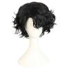 HUNIGIR Black Wig for Men Short Fluffy Curly Black Wig Male Heat Resistant Synthetic Hair view 3
