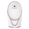 RMENST Facial Steamer - Nano Ionic Face Steamer for Deep Facial Cleaning & Skin Tightening, Warm Mist Humidifier, Blackhead Remover Kit view 1