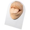 1/4 Soft Silicone Mouth Lip Body Model, Soft Body Part Displays for Practicing Suture, Piercing Display, Silicone Flexible Model for Education Display, Simulation Mouth for Teaching Instructions view 1