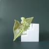 Lily of The Valley Claw Clips,Cellulose Acetate Hair Clips,Small Claw Clips for Girl,Hair Accessories view 3