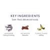 Aromatherapy Associates Balance Replenishing Shampoo, Hydrating Vegan Shampoo for Women and Men with Lavender & Ylang Ylang, Daily Hair Care for Oily or Dry Hair, 10 fl oz view 3
