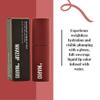 MoistureGlow Plumping Lip Color view 3