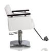 Eastamagic Salon Chair Hydraulic Barber Chair 360 Degrees Swivel Height Adjustable Hair Styling Chair view 2