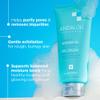 Andalou Naturals Body Wash, Clarifying Grapefruit Shower Gel, Gentle Exfoliating Salicylic Acid Body Wash with Tea Tree & Witch Hazel, Targets Back Acne, Blemishes & Excess Oil, 8.5 fl oz view 2