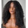 YOUNG BEAUTY Curly Human Hair wigs HD Lace Full Lace Wigs Brazilian Virgin Hair Kinky Curly Full Lace Human Hair Wigs for Black Women with Baby Hair Preplucked 16inch 150Density view 2