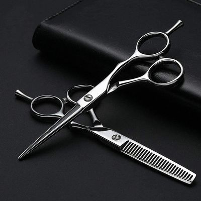 5.5 Inch Professional Hairdressing Scissors,Barber Cut and Thinning Scissors Set
