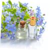 FOMIYES 12pcs Roller Octagonal Roller Bottle Glass 12ml Refillable Container Sub Package Bottle Essential Oil Glass Containers Portable Perfume Travel Perfume view 3