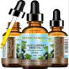 Botanical Beauty BLACK CURRANT SEED OIL. 100% Pure Natural Undiluted Refined Cold Pressed Carrier Oil for Skin, Hair, Lip and Nail Care (4 Fl Oz) view 1