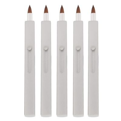 5Pcs Ended Retractable Lip Brush, Lip Brushes for Lip Stick, Liquid Lipstick, Liquid Blush,Lipgloss,Lip Plumping Lip Gloss, Lip Care Serum,Lip Liner Pens