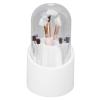 360 Degree Rotatable Makeup Brush Holder, Large Capacity Cosmetics Brush Storage Box with Transparent Dust Cover, Plastic Makeup Brush Holder Organizer for Home Beauty Salon view 1