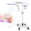 Alvinlite Facial Steamer 2-in-1 Pro on Wheels Ionic Ozone Facial Steamer with LED 5X Magnifying Floor Lamp Machine Hot Mist Function Stand for Personal Home Salon Spa Skin Cleaning view 1