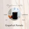 FIELD FLEUR Grapefruit Pomelo 15oz Hand Wash. Aromatic and Nourishing Hand Soap, Infused with Natural Aromatherapy Essential oils that includes grapefruit,peach,mint & cassis buds. Made in the USA view 3