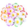 36 Pieces Hair Accessories: Plumeria Flower Clips and Hawaiian Decorations view 3