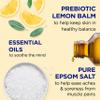 Dr Teal's Pure Epsom Magnesium Salt Soak, Prebiotic Lemon Balm & Essential Oil, 3 lbs (Pack of 4) view 3