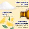 Dr Teal's Shea Sugar Scrub, Prebiotic Lemon Balm, 19 oz (Pack of 3) view 2