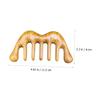 FOMIYES 3pcs Wide Tooth Scalp Care Comb Gua Sha Massage Tool Head Massager Comb Static view 3