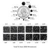 Beadsland 8300PCS Flatback Rhinestones, Black Rhinestone Round Crystal Rhinestones for Crafts, Mixed 10 Sizes with Wax Pencil and Tweezer Kit, SS3-SS30, Jet Black view 4