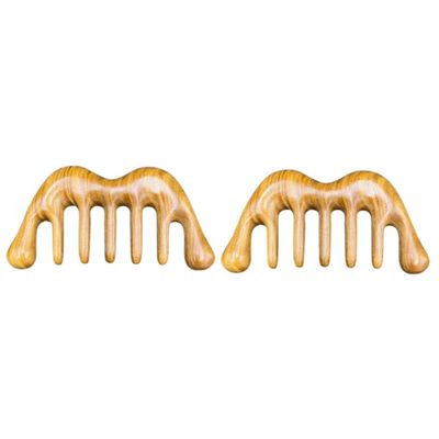 FOMIYES 2pcs Scalping Tool Head Massage Comb Gua Sha Scalp Massager Portable for Travel