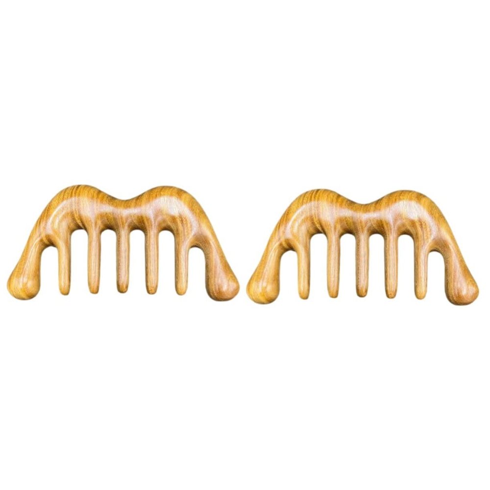 FOMIYES 2pcs Scalping Tool Head Massage Comb Gua Sha Scalp Massager Portable for Travel