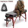 CLORIS 84" Professional Massage Table Portable Reinforced Wooden Leg Hold Up to 1100LBS 2 Folding Lightweight Spa Salon Tattoo Massage Bed Height Adjustable with Carrying Bag - Black view 4