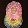 6/12/18Pcs Clear Disposable Plastic Shower Caps Large Elastic Thick Bath Beanie Women Spa Bathing Accessory (Color : 6Pcs random color) view 1