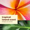 abseits Sheer Touch Lotion Sunscreen 8 Oz, 50 SPF, Oil Free, Reef Friendly Sunblock, Water Resistant (80 Minutes) view 3