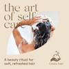 Arista Normal Hair Shampoo Bar | Sulfate-Free, Shikakai & Argan Oil Solid Shampoo Puck | Eco-Friendly, Vegan view 4