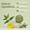 Arista Anti-Dandruff Shampoo Bar | Sulfate-Free, with Leaf Powder, Arnica & Tea Tree | Vegan Solid Shampoo Bar view 3