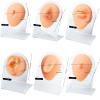 7PC Soft Silicone Piercing Model with Acrylic Stand, Reusable Acupuncture Piercing Practice Body Parts, 3D Flexible Ear Mold Fake Nose for Jewelry Display Medical Teaching Props view 2