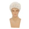 Dai Cloud Mens White Wig Short Layered Fluffy Hair Wigs Cosplay Daily Party Replacement Wigs for Male Buy view 2
