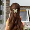 4 Pcs Butterfly Hair Claw Clips Jaw Clips,2.6 Inch Strong Hold Butterfly Hair Clamps for Women Girls Thick Thin Hair, Hair Accessories Gift for Girls and Women (B) view 3