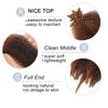 12 Inch Springy Afro Twist Hair 8 Packs Marley Twist Braiding Hair Pre-fluffed Spring Twist Hair Kinky Hair Afro Twist Hair Marley Hair for Faux Locs (12 Inch (Pack of 8), T1B/33/30#) view 4