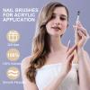 Shine Chance Acrylic Nail Art Brush Size 10, 100% Pure Kolinsky Hair Oval Nail Brush for Acrylic Application, Professional Nail Extension Manicure Tool Striping Nail Drawing Pen for DIY Home Salon view 2