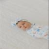 Copper Pearl Baby Bows: Stylish Headbands for Baby Girls, Premium Soft and Stretchy Baby Headbands, Perfect for Newborns, Trendy Designs - The Polar Express view 4