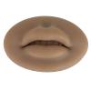 3D Silicone Lips, Semi Permanent Soft Fake Lips with Real Skin Touch Feeling, Reusable Washable Mouth Model for Lip Nail Display, Practical Piercing Practice Tool for Beginners(Brown) view 1
