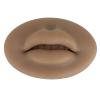 3D Silicone Lips, Semi Permanent Soft Fake Lips with Real Skin Touch Feeling, Reusable Washable Mouth Model for Lip Nail Display, Practical Piercing Practice Tool for Beginners(Brown) view 2