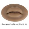 3D Silicone Lips, Semi Permanent Soft Fake Lips with Real Skin Touch Feeling, Reusable Washable Mouth Model for Lip Nail Display, Practical Piercing Practice Tool for Beginners(Brown) view 3
