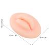 3pcs Tattoo Practice Lips with 3 Color, Reusable Silicone Piercings Practice Tools for Piercing Salon, Versatile 3D Fake Lip for Tattoo Cosmetic Makeup Training, Mouth Model for Lip Nail Display view 2