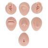 Body Part Model, Soft Silicone Flexible Body Practice Model, Ear Mouth Nose Eye Tongue Navel Model with Display Rack, Simulation Set for Jewelry Display, Teaching Tool (Middle Skin) view 3
