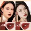 Knixhult Velvet Matte Lipstick Set with Glamour Chain Pouc, 2023 New 4 Colors Waterproof Matte Lipstick Set, Long Lasting Lip Stick Set Elegant Leather Chain Bag view 4