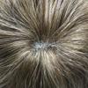 Toupee for Men Hairpiece Human Hair Replacement Systems French Lace Front Mens Toupee Bleached Knots Natural Hairline Swiss lace Hair Systems for Men Grey Black Brown Blone Male Wig Unit(8X10"-120% density#1720 Dark Ash Blonde with 20% Gray ) view 4