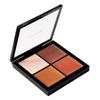MAC Pro Face Palette - Illuminate - 0.35 oz / 10 g view 1