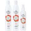 BIOTERA Anti Frizz Intense Smoothing Shampoo & Conditioner & Leave-In | Frizzy or Unruly Hair | Microbiome Friendly | Vegan & Cruelty Free | Paraben Free | Color-Safe | 15.2 Fl Oz view 1