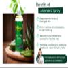 Allurials 99.75% Pure & Organic Aloe Vera Spray, Clinically tested & Dermatologist approved, Hydrates & Heals Dry & Damaged Skin & Hair- 12 Oz view 3