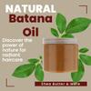 100% Pure Batana Oil 16oz, 16oz African Shea Butter, & Dudu Osun Black Soap Bar Value Bundle Pack For Ultimate Bodycare view 2