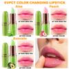BINGBRUSH Aloe vera Color Changing Lipstick,Moisturizer Long Lasting Lip Care Magic Lip Gloss,Makeup Lipstick Set (3Pcs Aloe vera+ Peach+ Avocado Green, 3 Count (Pack of 1)) view 3