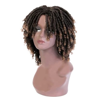Daily Wig for Momen Curly Wigs for Black WomenAfro Kinky Curly Wig with Bangs Kinky Curly Afro Wig with Bangs Party Wigs for Men (Color : OneColor, Size : 35cm)