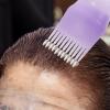 Kichvoe Root Bottle Hair Growth Rosemary Water Set with Comb Applicator, Dye Brush, and Oil Dispenser for Home Salon view 3